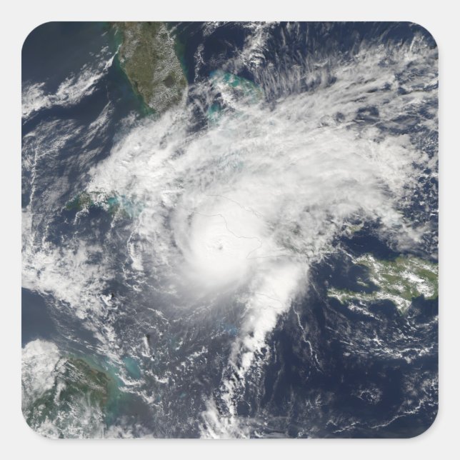 Adesivo Quadrado Furacão Paloma (Frente)