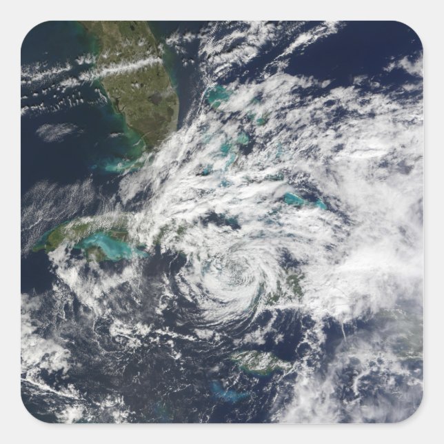 Adesivo Quadrado Furacão Paloma 2 (Frente)