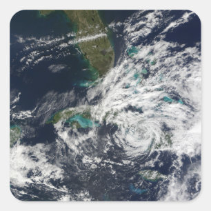 Adesivo Quadrado Furacão Paloma 3