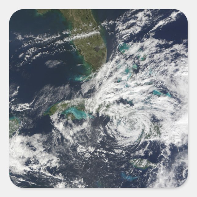 Adesivo Quadrado Furacão Paloma 3 (Frente)