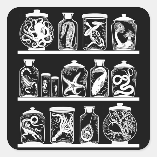 Adesivo Quadrado Gabinete de Curiosidade OPUS (Frente)