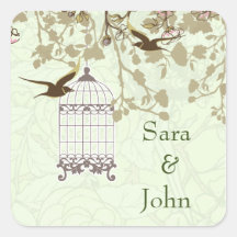 gaiola verde floral de aves, envelope de aves amáv