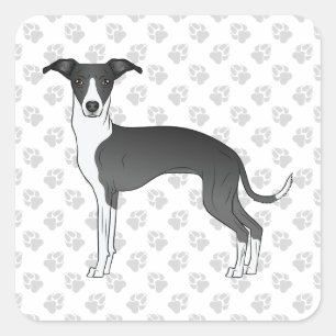 Adesivo Quadrado Galgo Italiano Preto E Branco Com Patas