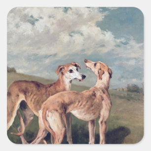 Adesivo Quadrado Galgos