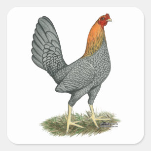 Adesivo Quadrado Game Hen Blue Red