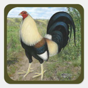 Adesivo Quadrado Gamecock da estrada secundária