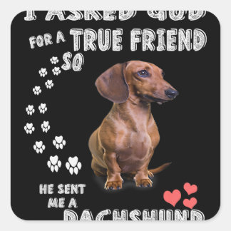 Adesivo Quadrado Garota Bonita Dachshund Doxie dá presentes Dachshu