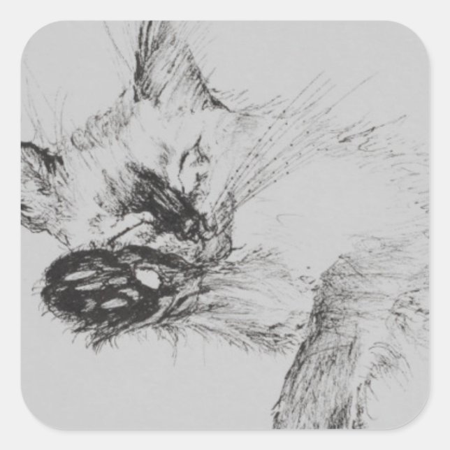 Adesivo Quadrado Gatinho 'Bebê' (Frente)