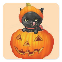 Gatinho bonito no Dia das Bruxas de Abóbora