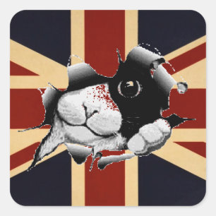 Adesivo Quadrado Gatinho britânico da Funny Union Jack