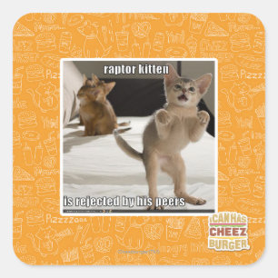 Adesivo Quadrado Gatinho do raptor