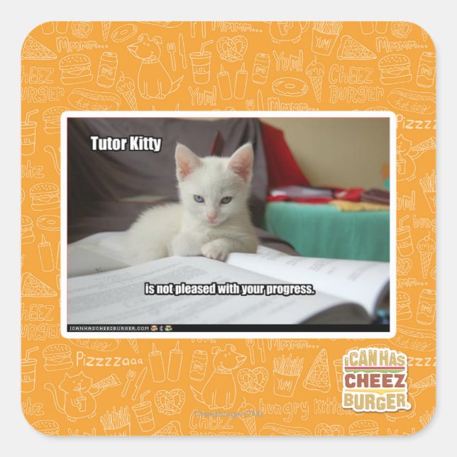 Adesivo Quadrado Gatinho do tutor (Frente)