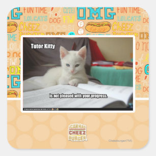 Adesivo Quadrado Gatinho do Tutor