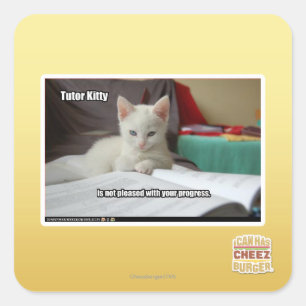 Adesivo Quadrado Gatinho do Tutor