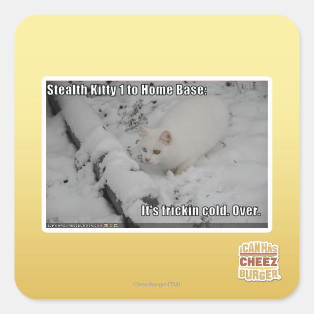 Adesivo Quadrado Gatinho furtivo 1 (Frente)