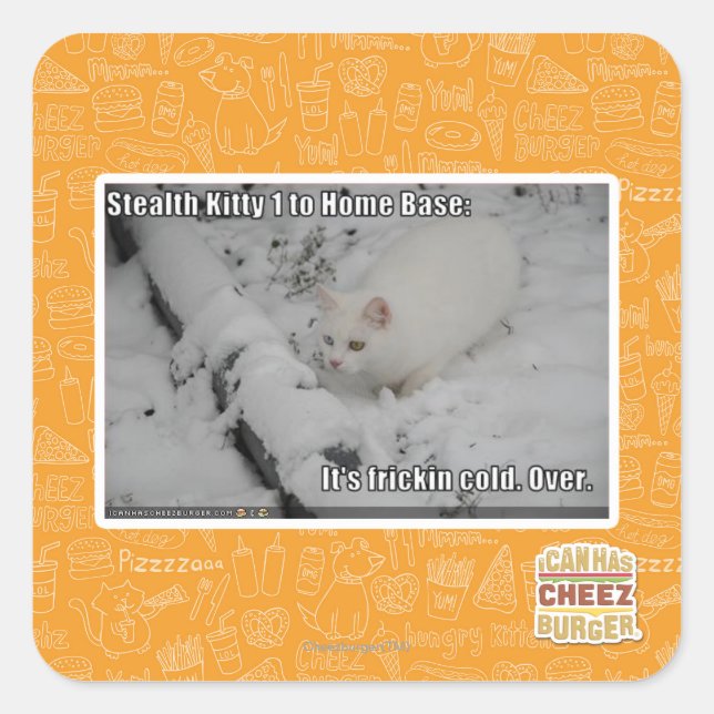 Adesivo Quadrado Gatinho furtivo 1 (Frente)