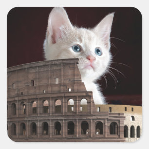 Adesivo Quadrado gatinho romano