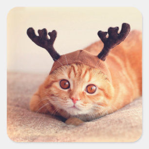 Adesivo Quadrado gatinho vestindo chapéu de rena de Natal