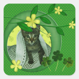 Adesivo Quadrado Gatinhos, Flores, Camarões e Bolinhas Verdes