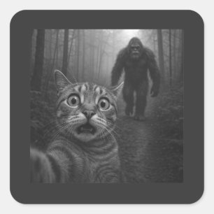 Adesivo Quadrado Gato Assustado Selfie Com Sasquatsch Pé Grande