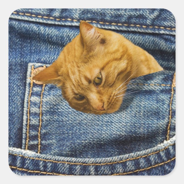 Adesivo Quadrado Gato bonito nos jeans faz uma ilusão engraçada (Frente)