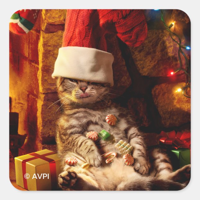 Adesivo Quadrado Gato com a cabeça estacionada (Frente)