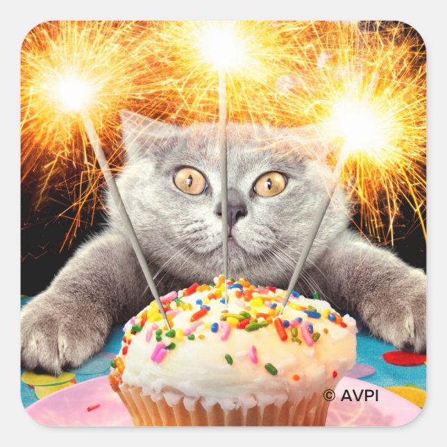 Adesivo Quadrado Gato com Cupcake Sparkler (Frente)