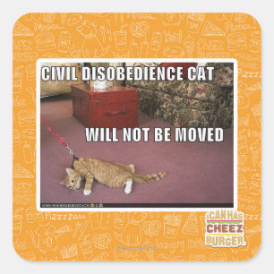 Adesivo Quadrado Gato da desobediência civil