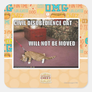 Adesivo Quadrado Gato da desobediência civil