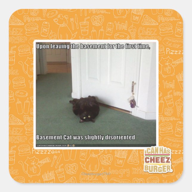 Adesivo Quadrado Gato de Base, ligeiramente desorientado (Frente)