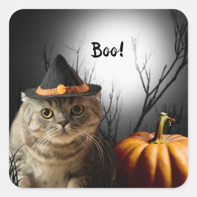 Adesivo Quadrado Gato De Bruxas De Halloween Com Pumpkin Stickers (Frente)