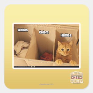 Adesivo Quadrado Gato de lavanderia