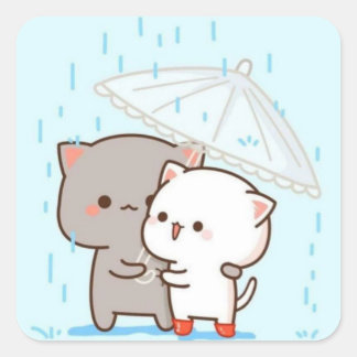 Adesivo Quadrado gato-de-pêssego mochi