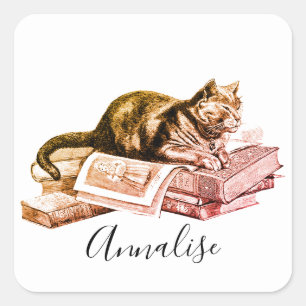 Adesivo Quadrado Gato Deitado Em Uma Pilha De Livros