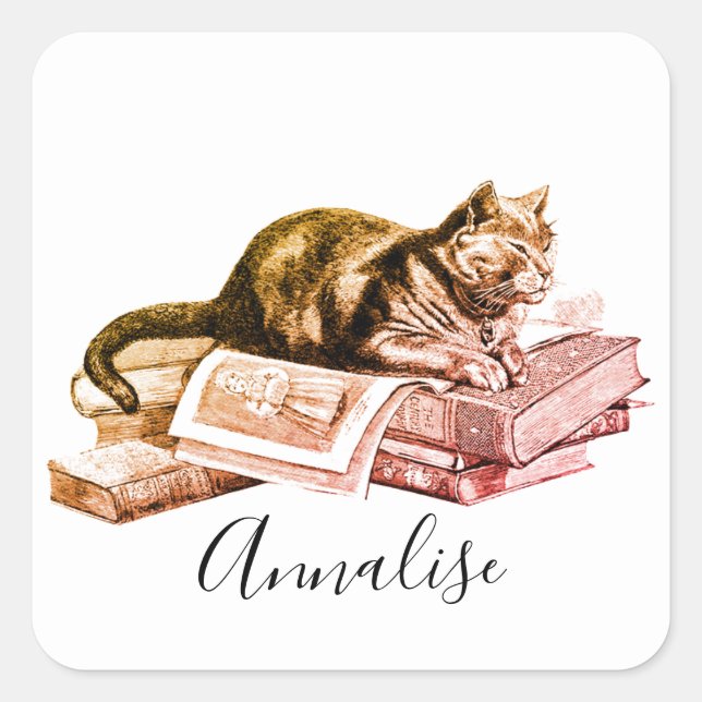 Adesivo Quadrado Gato Deitado Em Uma Pilha De Livros (Frente)