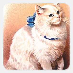 Adesivo Quadrado Gato do vintage com arco azul