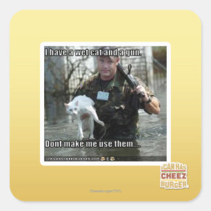 Adesivo Quadrado Gato e arma molhados