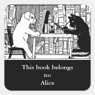 Adesivo Quadrado Gato e Cachorro na Biblioteca Clássica Redonda