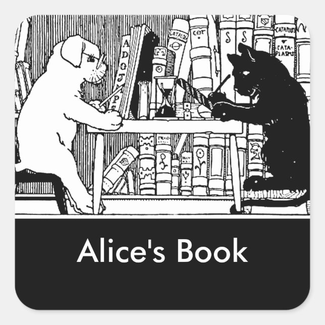 Adesivo Quadrado Gato e Cão na Biblioteca (Frente)