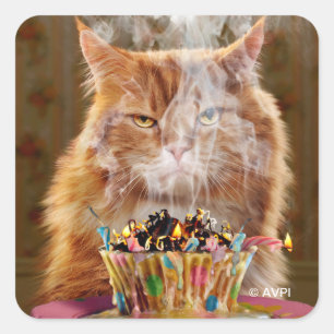 Adesivo Quadrado Gato Engraçado Com Cupcake De Aniversário Derret