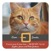 Gato engraçado do papai noel do Xmas mais Purr