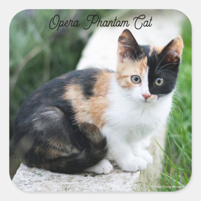 Adesivo Quadrado Gato Fantasma da Ópera (Frente)