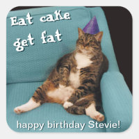 Gato Gordo Grande Sentado na Cadeira Aniversário R