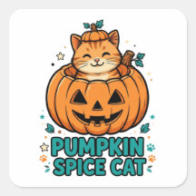 Gato Laranja da Abóbora com Tempero de Abóbora no