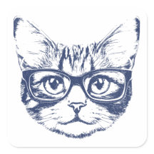 Gato legal com Óculos