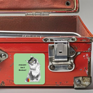 Adesivo Quadrado Gato Maine Coon Engraçado e Fofo Humor Verde