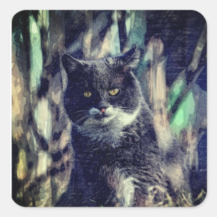 Adesivo Quadrado Gato, Mamífero, Animal