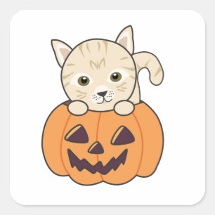 Adesivo Quadrado Gato Na Abóbora Gatos Doce Feliz Dia das Bruxas