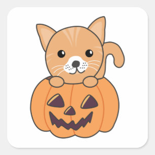 Adesivo Quadrado Gato Na Pumpkin Gatos Doce Feliz Praça de Hallowee
