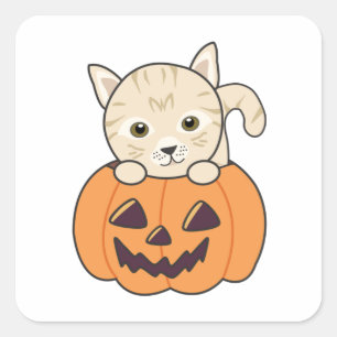 Adesivo Quadrado Gato Na Pumpkin Gatos Doce Feliz Praça de Hallowee